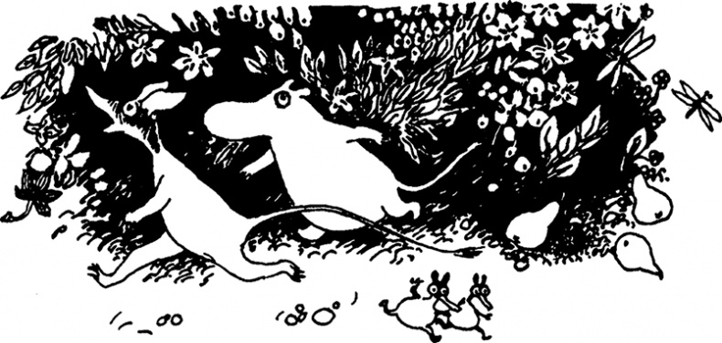 Иллюстрация к книге — Комета прилетает [i_004.jpg]