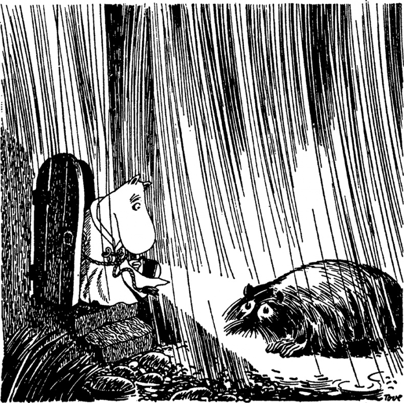 Иллюстрация к книге — Комета прилетает [i_010.jpg]