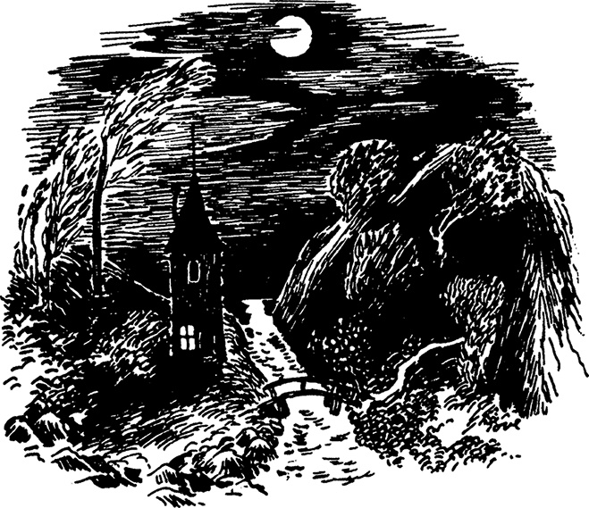 Иллюстрация к книге — Комета прилетает [i_012.jpg]