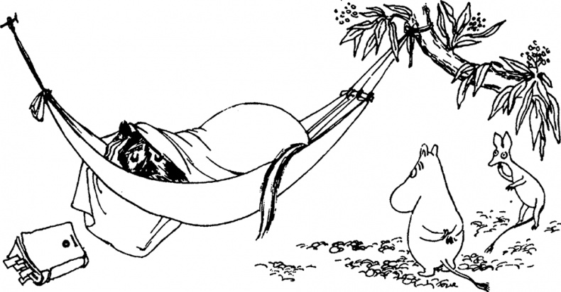 Иллюстрация к книге — Комета прилетает [i_013.jpg]