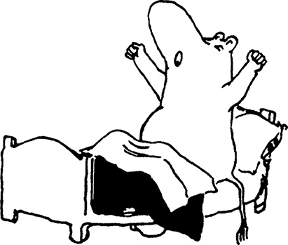 Иллюстрация к книге — Комета прилетает [i_016.jpg]