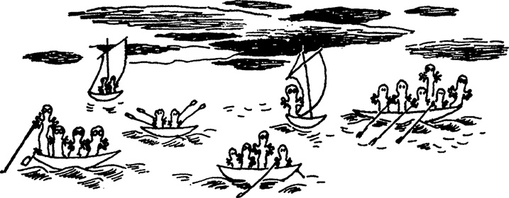 Иллюстрация к книге — Комета прилетает [i_018.jpg]