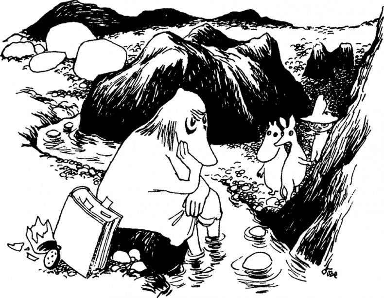 Иллюстрация к книге — Комета прилетает [i_036.jpg]