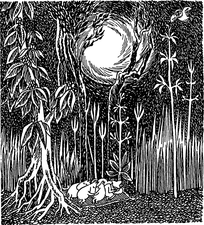 Иллюстрация к книге — Комета прилетает [i_040.jpg]