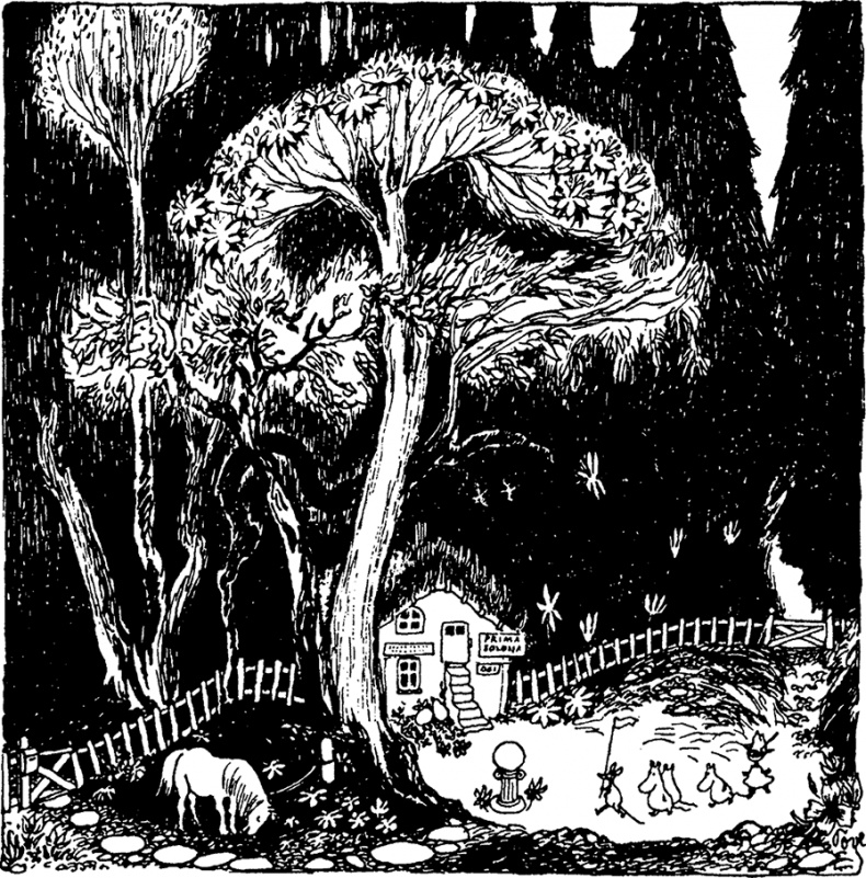 Иллюстрация к книге — Комета прилетает [i_042.jpg]