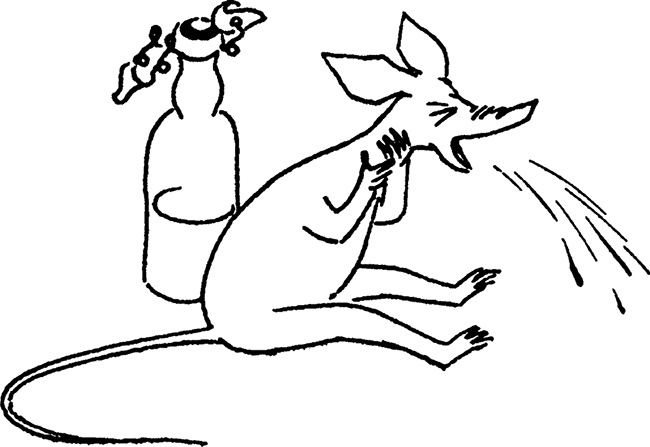 Иллюстрация к книге — Комета прилетает [i_045.jpg]