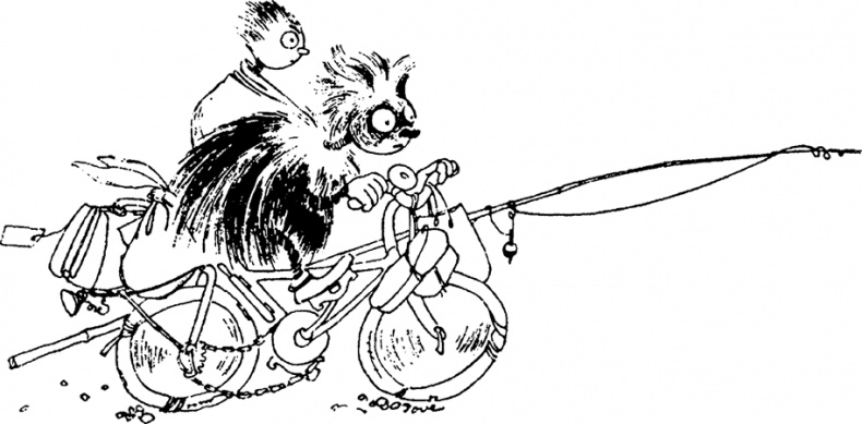 Иллюстрация к книге — Комета прилетает [i_058.jpg]