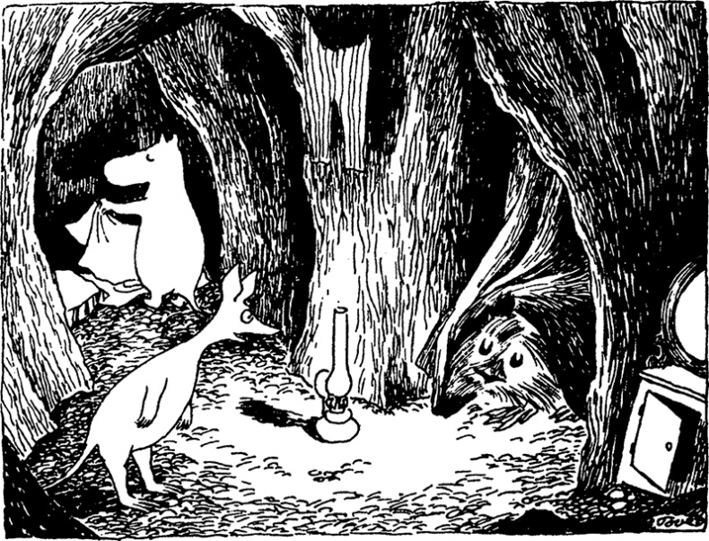 Иллюстрация к книге — Комета прилетает [i_071.jpg]