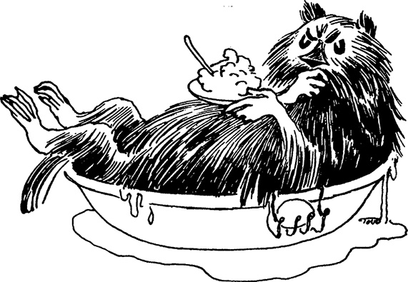 Иллюстрация к книге — Комета прилетает [i_073.jpg]