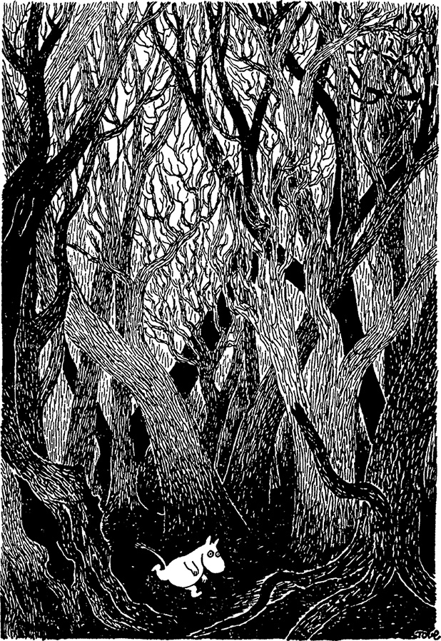 Иллюстрация к книге — Комета прилетает [i_074.jpg]