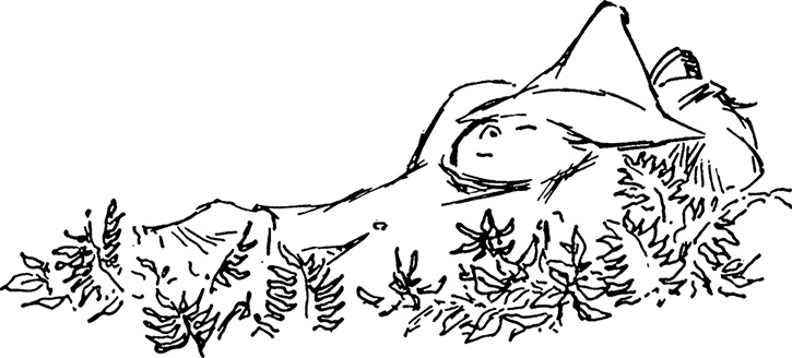 Иллюстрация к книге — Сказки Долины Муми-троллей [i_006.jpg]