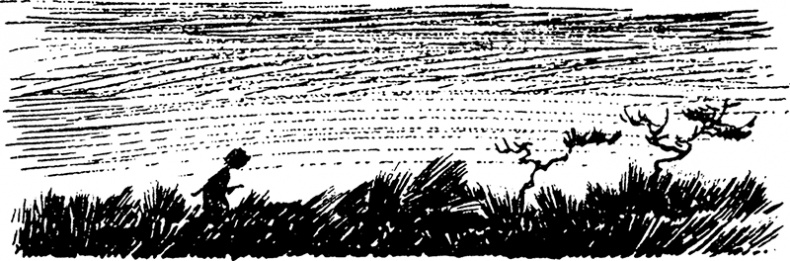 Иллюстрация к книге — Сказки Долины Муми-троллей [i_009.jpg]