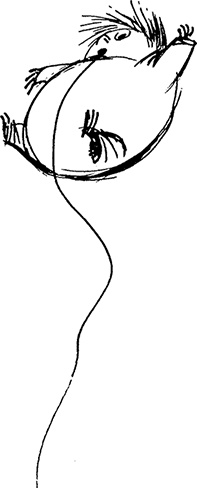 Иллюстрация к книге — Сказки Долины Муми-троллей [i_012.jpg]