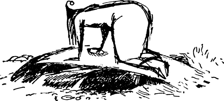 Иллюстрация к книге — Сказки Долины Муми-троллей [i_016.jpg]