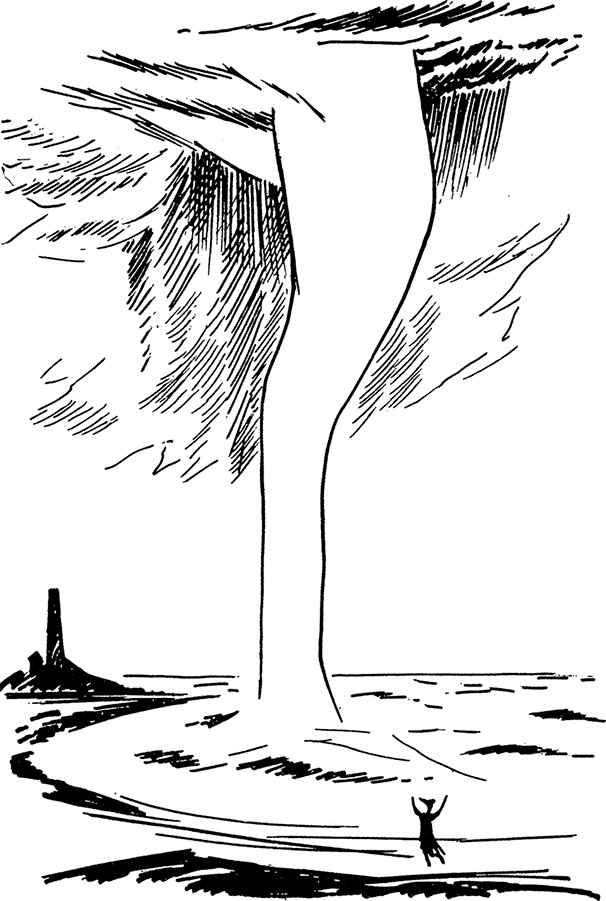 Иллюстрация к книге — Сказки Долины Муми-троллей [i_022.jpg]