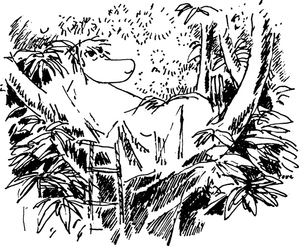 Иллюстрация к книге — Сказки Долины Муми-троллей [i_044.jpg]