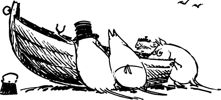 Иллюстрация к книге — Сказки Долины Муми-троллей [i_053.jpg]