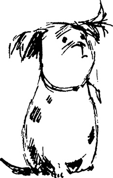 Иллюстрация к книге — Сказки Долины Муми-троллей [i_066.jpg]