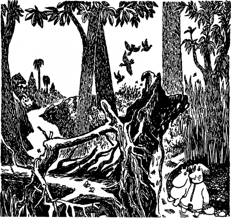 Иллюстрация к книге — Мемуары папы Муми-тролля [i_010.jpg]