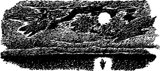 Иллюстрация к книге — Мемуары папы Муми-тролля [i_023.jpg]