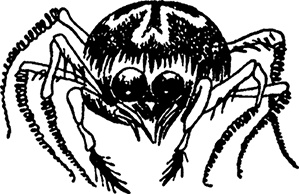 Иллюстрация к книге — Мемуары папы Муми-тролля [i_030.jpg]