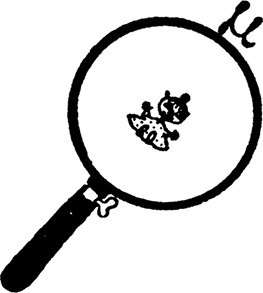 Иллюстрация к книге — Мемуары папы Муми-тролля [i_039.jpg]