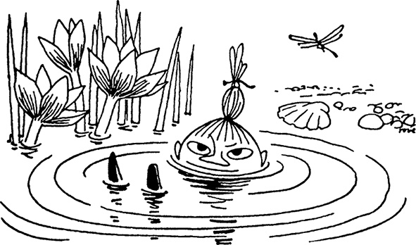 Иллюстрация к книге — Опасное лето [i_063.jpg]