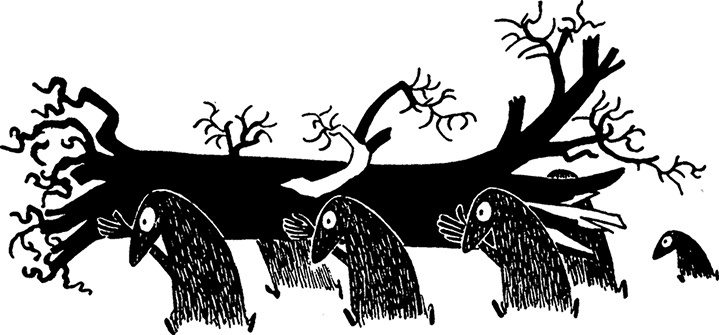 Иллюстрация к книге — Волшебная зима [i_024.jpg]