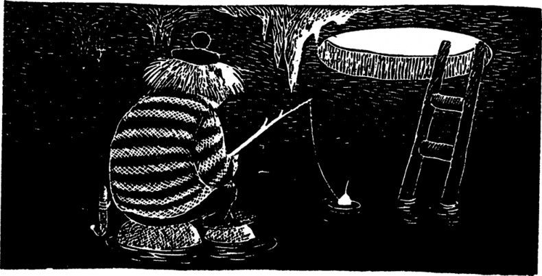 Иллюстрация к книге — Волшебная зима [i_029.jpg]