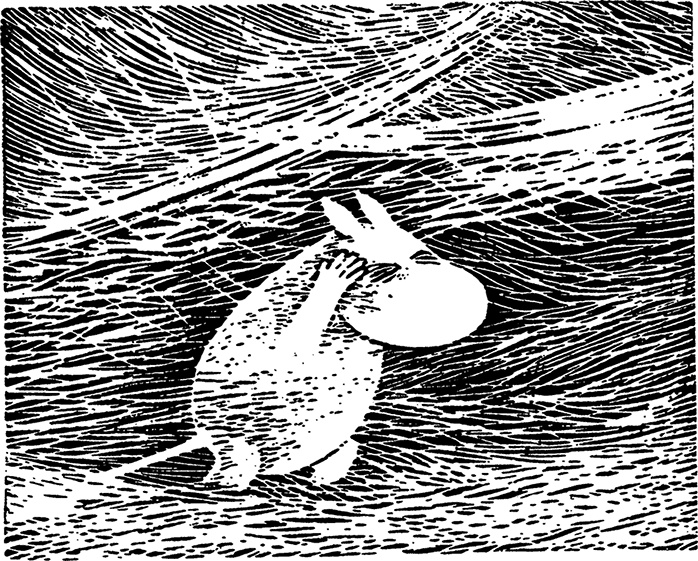 Иллюстрация к книге — Волшебная зима [i_047.jpg]