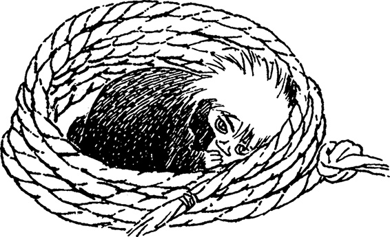 Иллюстрация к книге — В конце ноября [i_008.jpg]