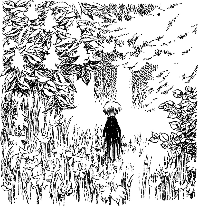 Иллюстрация к книге — В конце ноября [i_009.jpg]