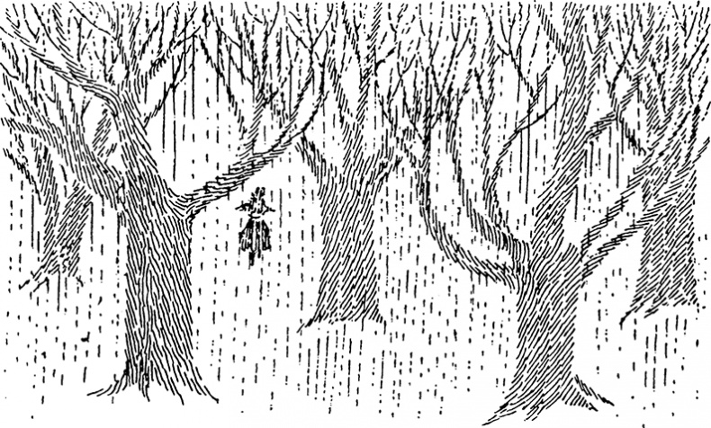 Иллюстрация к книге — В конце ноября [i_032.jpg]