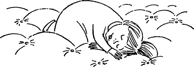 Иллюстрация к книге — В конце ноября [i_034.jpg]