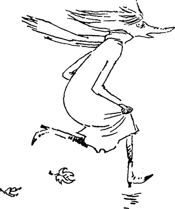 Иллюстрация к книге — В конце ноября [i_045.jpg]