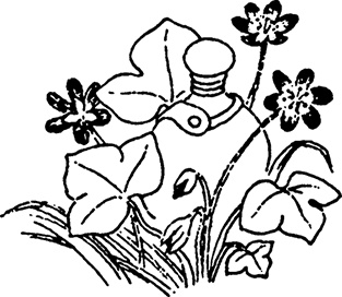 Иллюстрация к книге — В конце ноября [i_077.jpg]