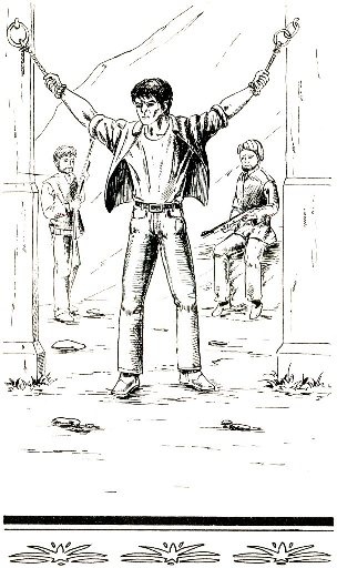 Иллюстрация к книге — Цветок в пыли. Месть и закон [i_005.jpg]