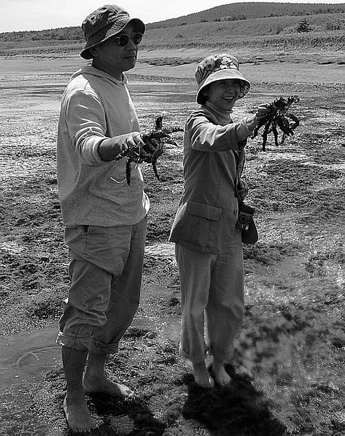 Иллюстрация к книге — Суси-нуар. Занимательное муракамиедение [_44.jpg]