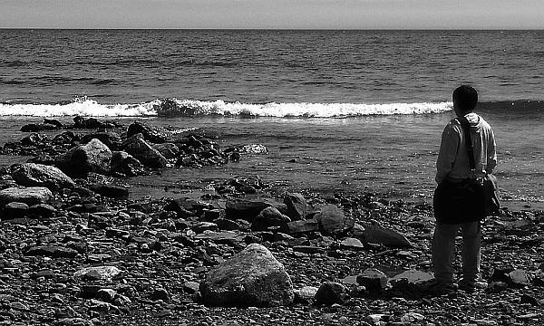 Иллюстрация к книге — Суси-нуар. Занимательное муракамиедение [_45.jpg]