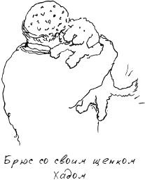 Иллюстрация к книге — Grace. Автобиография [_79.jpg]