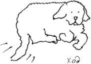 Иллюстрация к книге — Grace. Автобиография [_88.jpg]