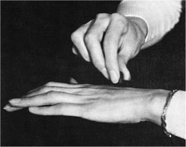 Иллюстрация к книге — Джуна. Тайна великой целительницы [i_002.jpg]