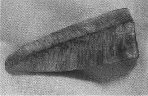 Иллюстрация к книге — Русанов [i_054.jpg]