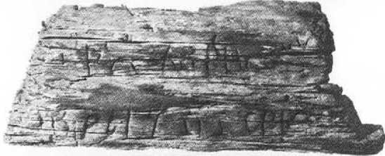 Иллюстрация к книге — Русанов [i_071.jpg]