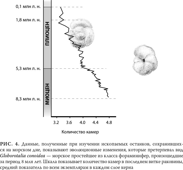 Иллюстрация к книге — Эволюция: Неопровержимые доказательства [i_007.jpg]