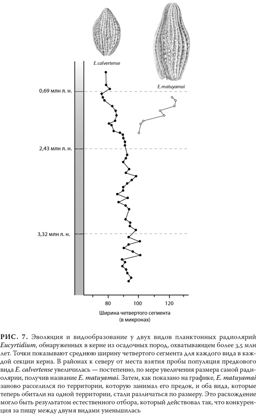 Иллюстрация к книге — Эволюция: Неопровержимые доказательства [i_010.jpg]