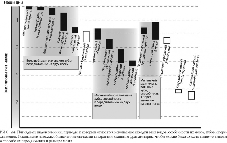 Иллюстрация к книге — Эволюция: Неопровержимые доказательства [i_029.jpg]