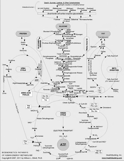 Иллюстрация к книге — Полезная еда. Развенчание мифов о здоровом питании [i_006.jpg]