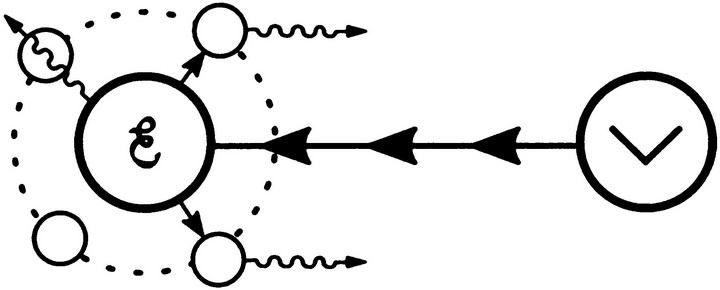 Иллюстрация к книге — Вся фигня - от мозга?! Простая психосоматика для сложных граждан [i_039.jpg]