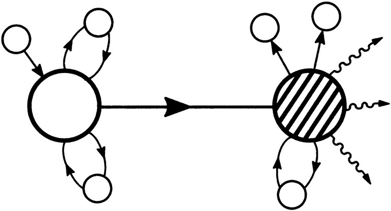 Иллюстрация к книге — Вся фигня - от мозга?! Простая психосоматика для сложных граждан [i_044.jpg]